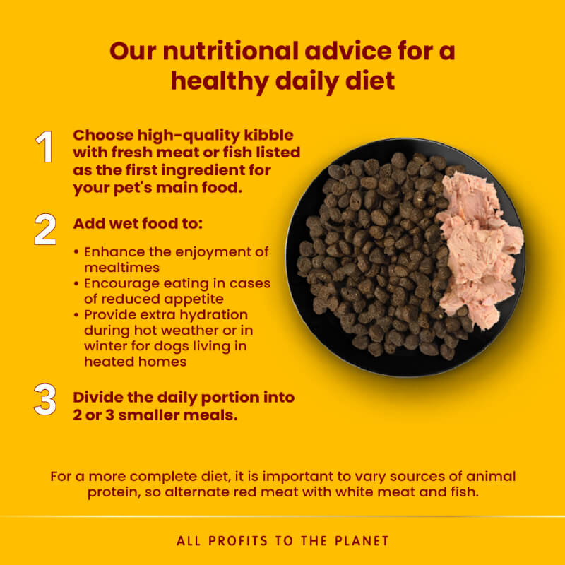 Almo Nature HFC Complete pašteta, alu posodica - aljaški polak - 85 g