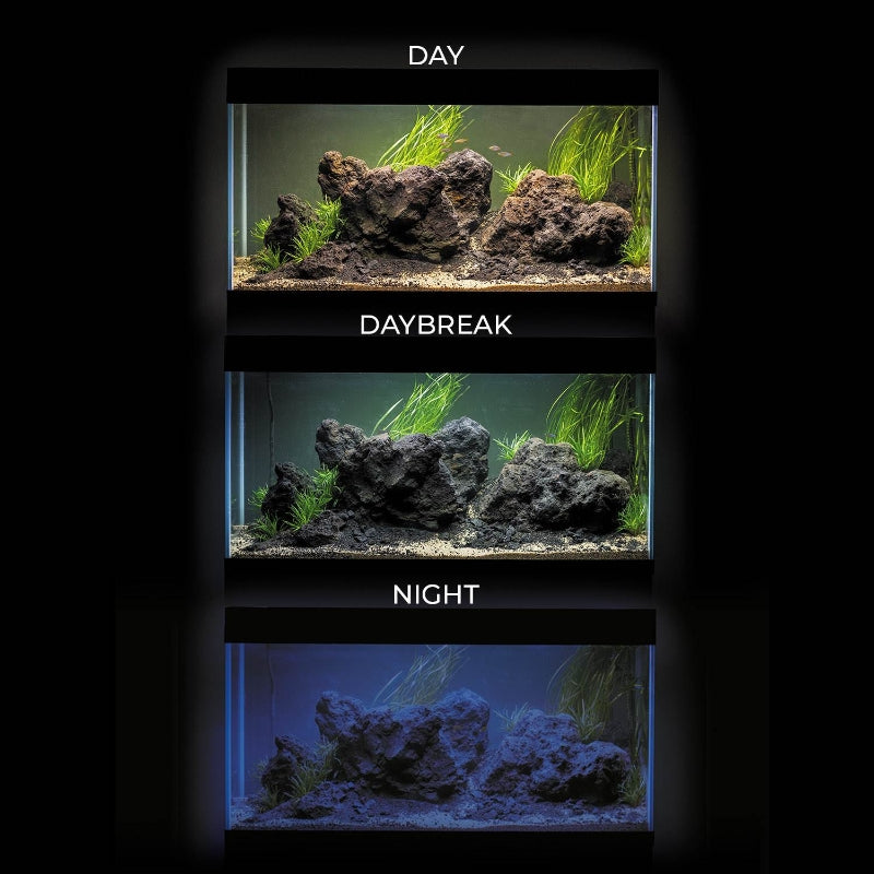 Aquael akvarij Opti Set 2.0, siv - 125 L / 81 x 36 x 51 cm