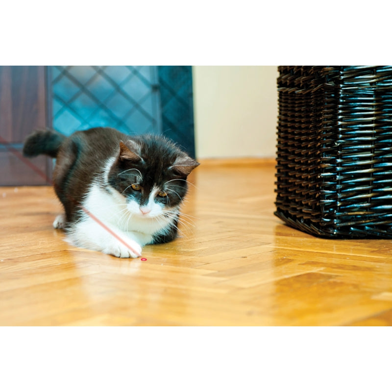 KONG igrača Laser Cat laser za mačke - 6,3 x 1,2 cm