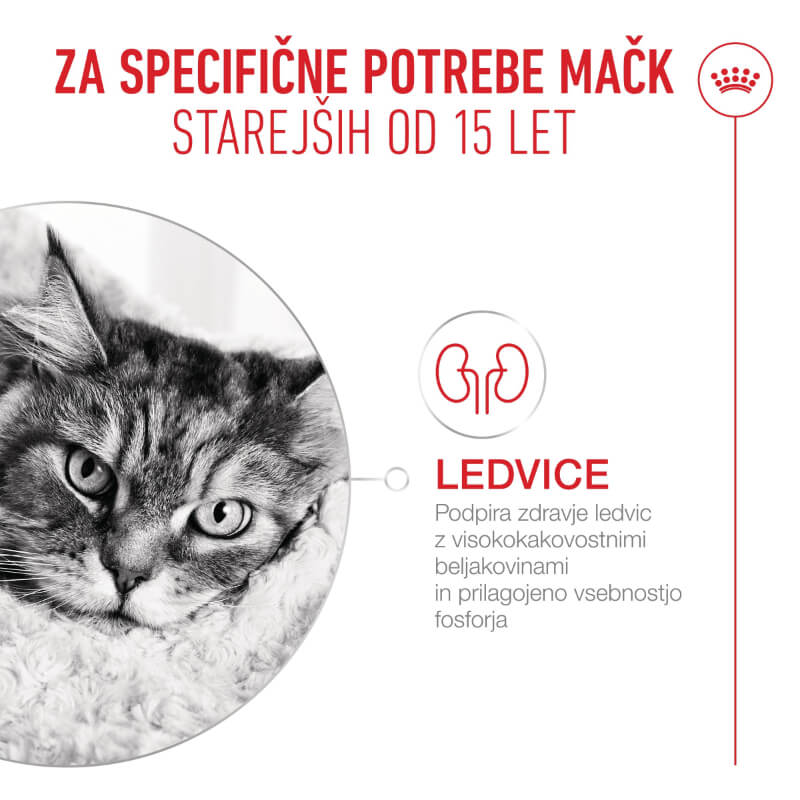 Royal Canin Ageing +15 - različne velikosti