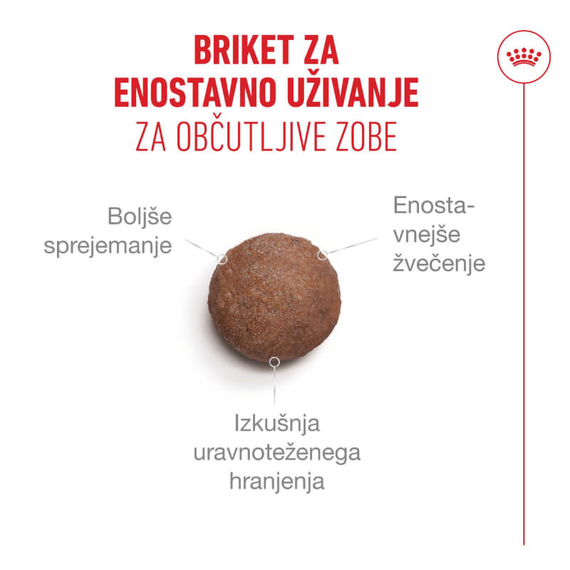 Royal Canin Ageing +11 - različne velikosti