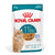 Royal Canin Ageing (11+) vrečka - žele - 85 g