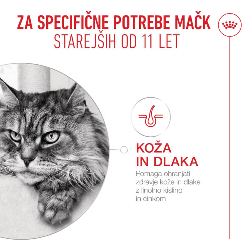 Royal Canin Ageing (11+) vrečka - žele - 85 g