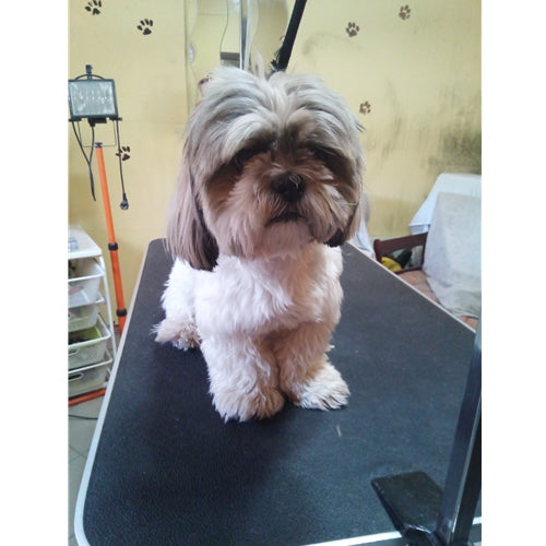 Mr.Pet spletna trgovina