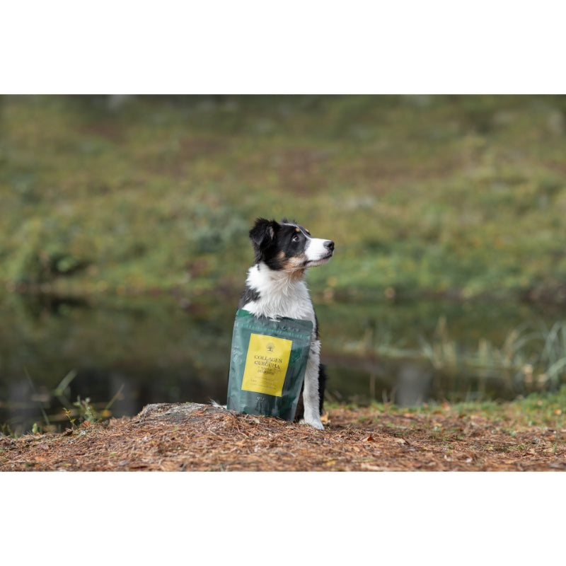 Essential Foods Teeth Delights pasji priboljški, kolagen in kurkuma - 250 g