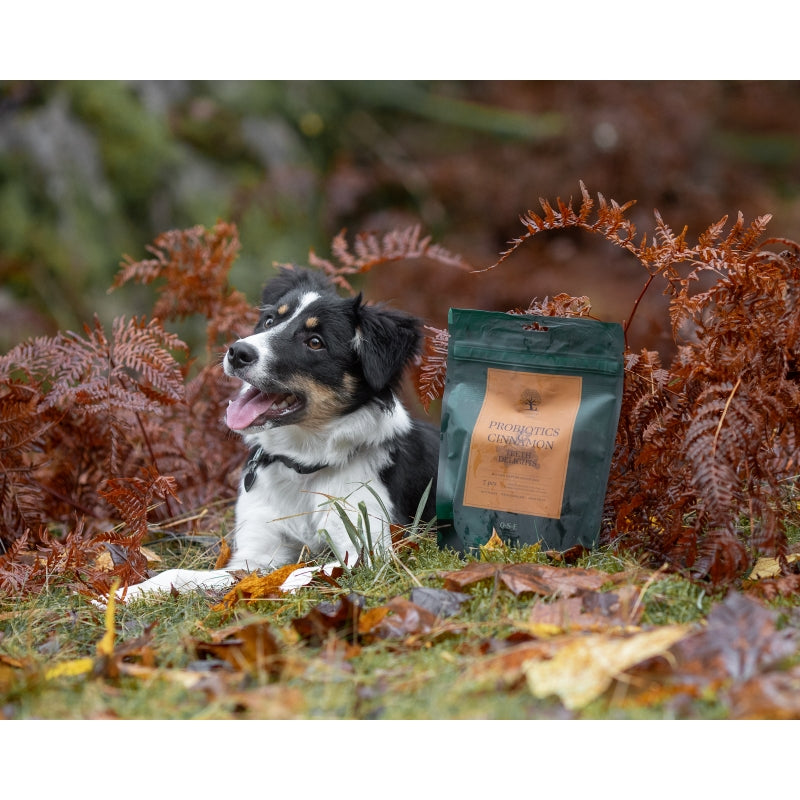 Essential Foods Teeth Delights pasji priboljški,probiotiki in cimet - 250 g