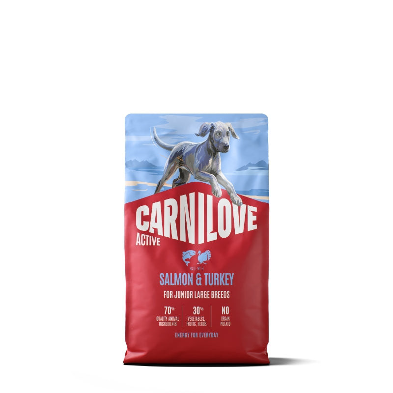 Carnilove Dog Active Junior Large, briketi - losos in puran - 4 kg
