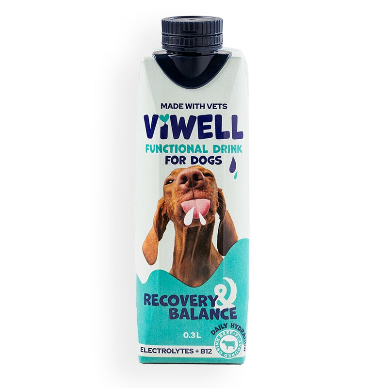 ViWell funkcionalna pijača za pse, Recovery & Balance - 0,3 L