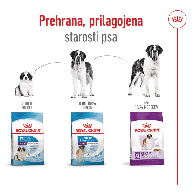 Royal Canin Giant Adult - 15 kg (2)