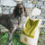 Essential Foods Dog Contour Adult - piščanec, raca, ribe in jajce - mini ali large