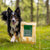 Essential Foods Dog Superior Adult - piščanec, raca in ribe - mini ali large