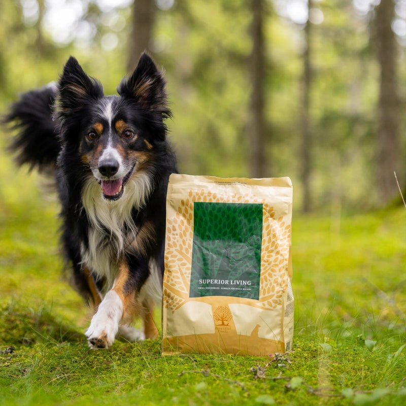 Essential Foods Dog Superior Adult - piščanec, raca in ribe - mini ali large