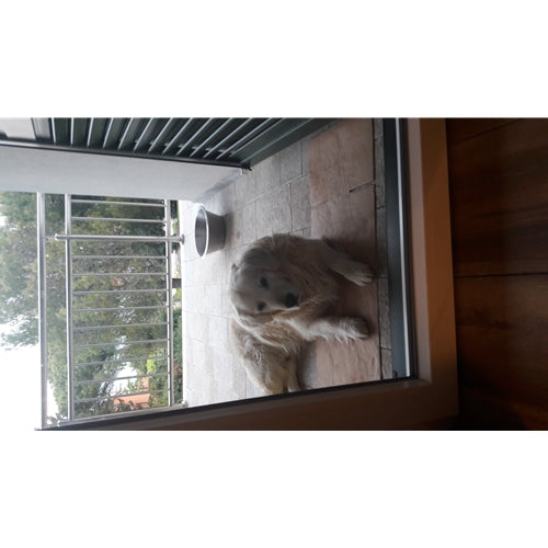 Mr.Pet spletna trgovina