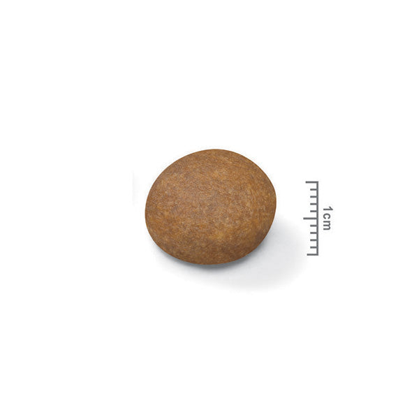 Royal Canin Maxi Adult +5 - 4 kg (2)