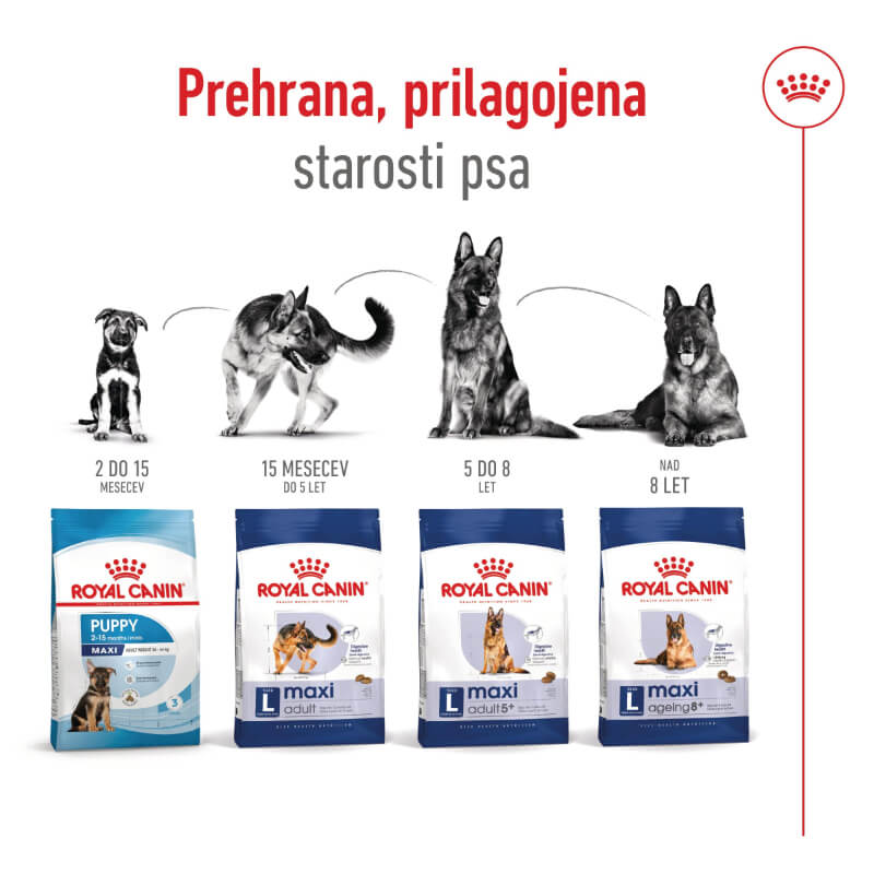 Royal Canin Maxi Adult +5 - 15 kg (2)