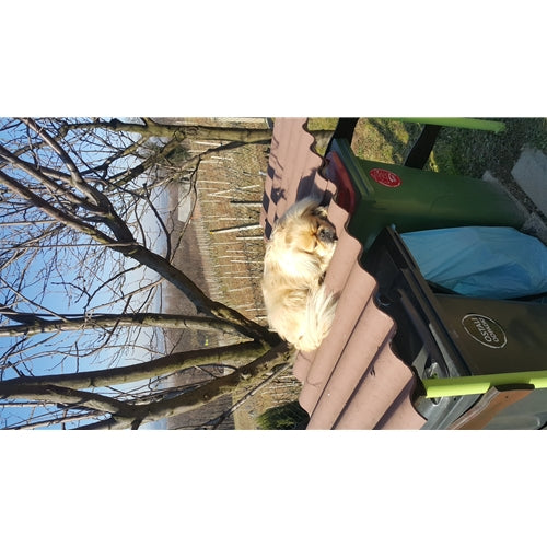Mr.Pet spletna trgovina