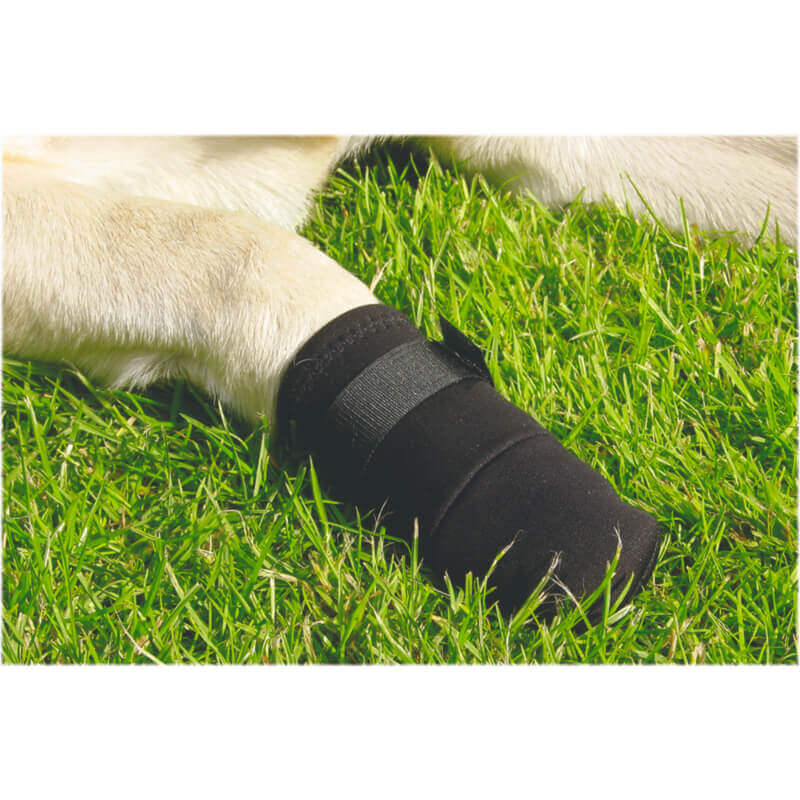 Beeztees zaščitni čevelj, XXL - 2 kos (2)