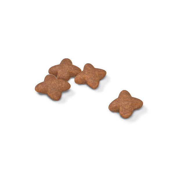 Royal Canin Mini Adult - 4 kg (2)