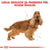 Royal Canin Cocker Adult - 3 kg (3)