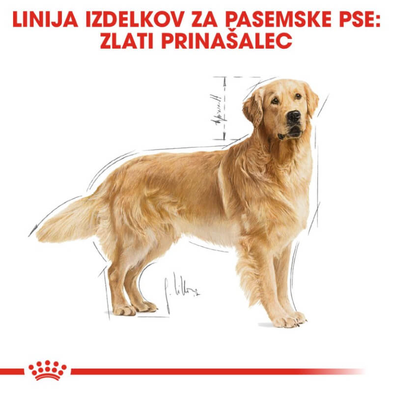 Royal Canin Golden Retriever Adult - 12 kg (3)
