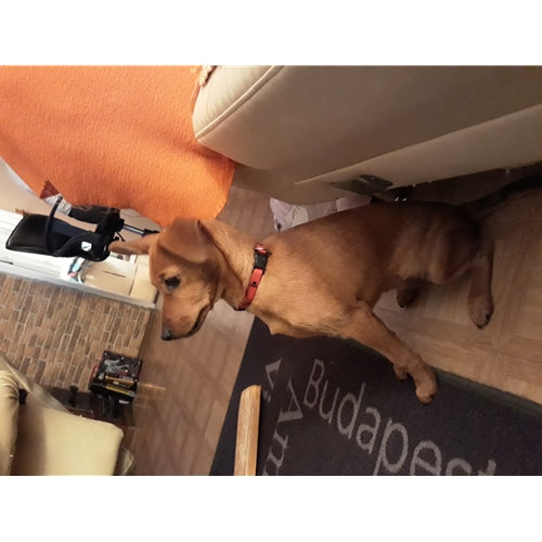 Spletna trgovina Mr.Pet