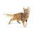 Royal Canin Fit - 400 g (3)