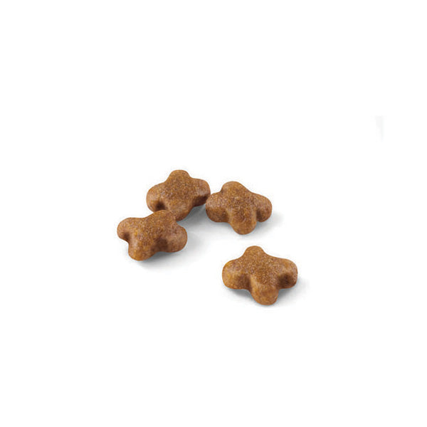 Royal Canin Kitten - 2 kg (2)