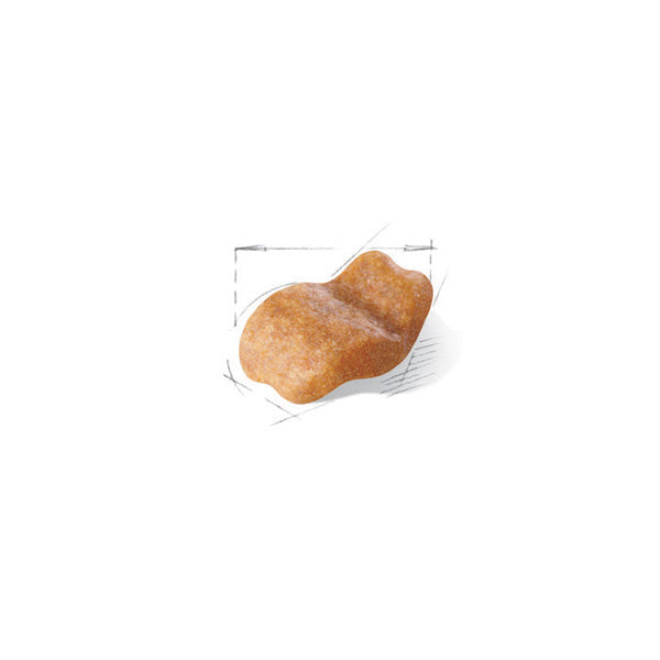 Royal Canin Bulldog Adult - 3 kg (2)