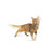 Royal Canin Fit - 10 kg (3)