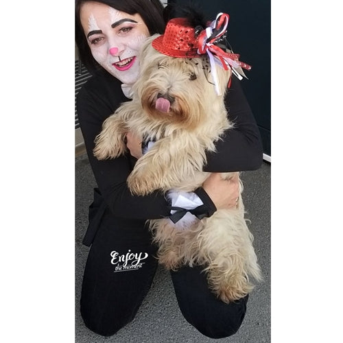 Mr.Pet spletna trgovina