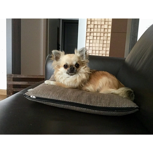 Mr.Pet spletna trgovina