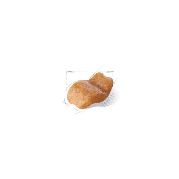 Royal Canin Bulldog Adult - 12 kg (2)