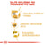 Royal Canin Boxer Adult - 12 kg (3)