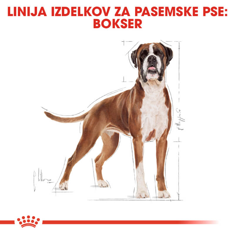 Royal Canin Boxer Adult - 12 kg (4)