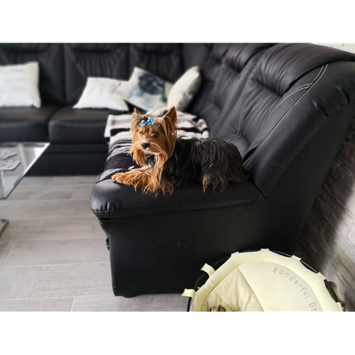 Mr.Pet spletna trgovina