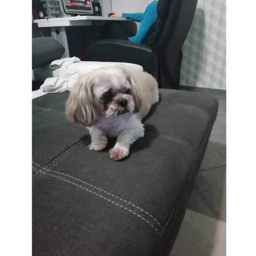 Mr.Pet spletna trgovina