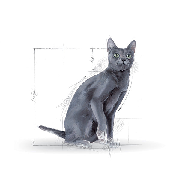 Royal Canin Sterilised - 400 g (3)