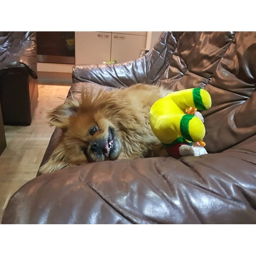 Mr.Pet spletna trgovina