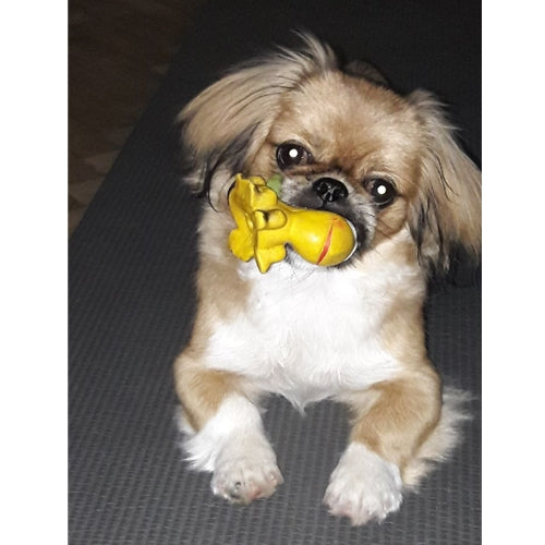 Mr.Pet spletna trgovina