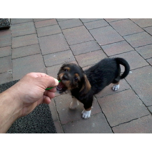 Mr.Pet spletna trgovina
