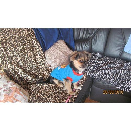 Mr.Pet spletna trgovina
