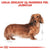 Royal Canin Dachshund - 1,5 kg (3)