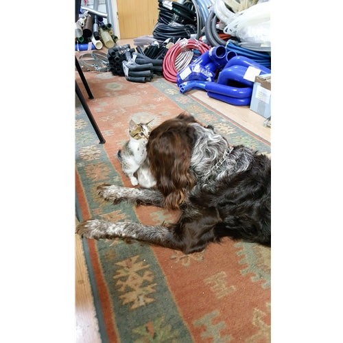 Mr.Pet spletna trgovina