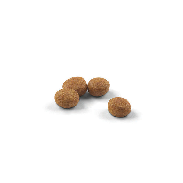 Royal Canin Sterilised - 2 kg (2)