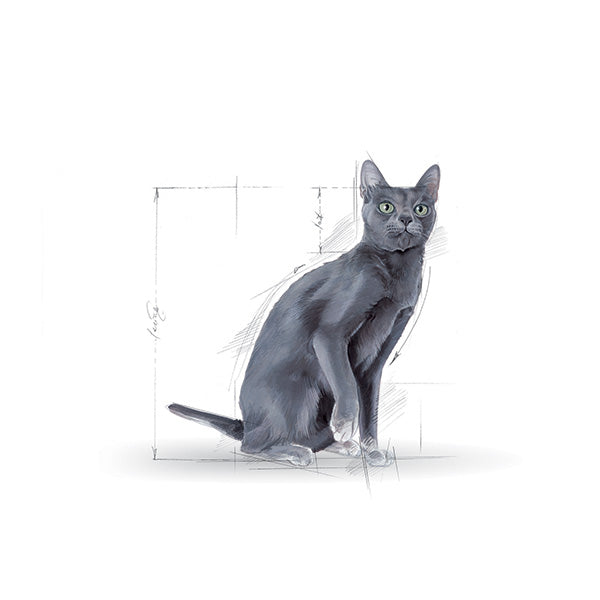 Royal Canin Sterilised - 2 kg (3)