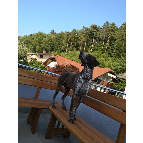 Mr.Pet spletna trgovina