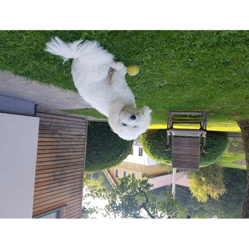 Mr.Pet spletna trgovina