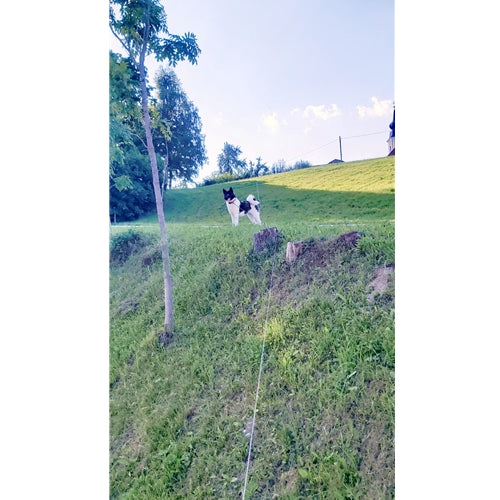 Mr.Pet spletna trgovina
