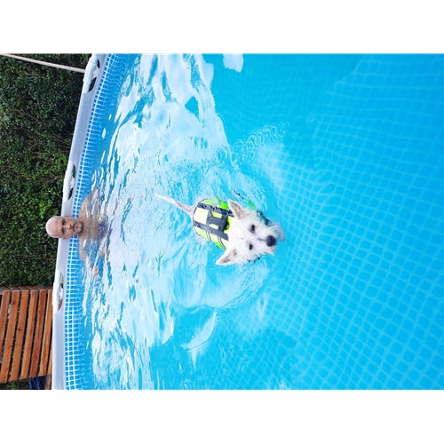 Mr.Pet spletna trgovina