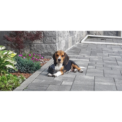 Mr.Pet spletna trgovina